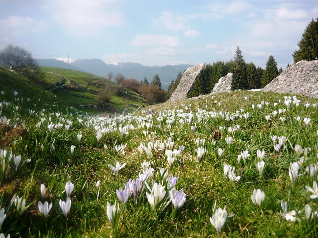 Hotel Belvedere Roana Zewnętrze zdjęcie