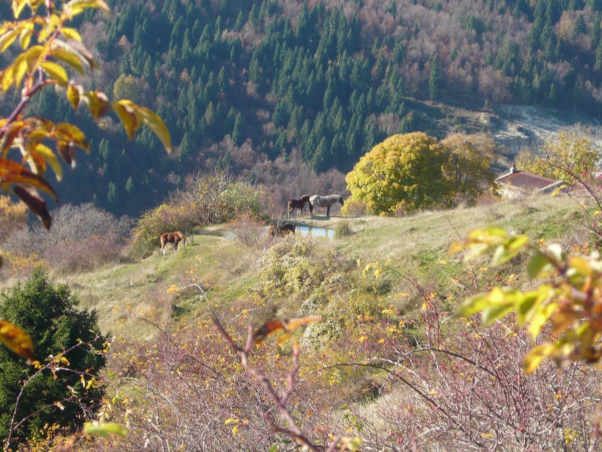 Hotel Belvedere Roana Zewnętrze zdjęcie