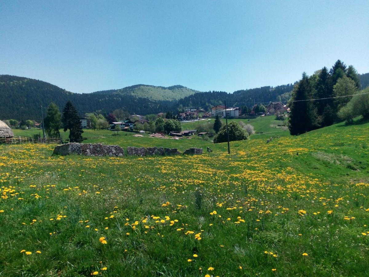 Hotel Belvedere Roana Zewnętrze zdjęcie